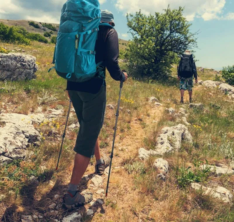 LUYILA Trekking Poles, Lightweight Telescopic Portable Carbon Fiber Hiking Stick